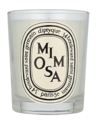 Diptyque Mimosa Scented Candle 190 g