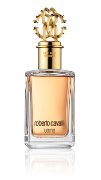 Roberto Cavalli Uomo Edt Spray 100 ml