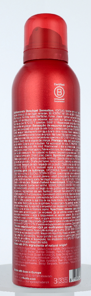 Ritual Of Ayurveda Foaming Shower Gel 200 ml