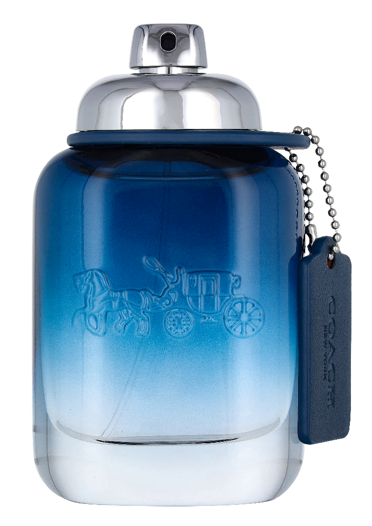 Coach Blue Edt Spray