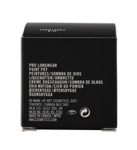 MAC Pro Longwear Paint Pot 5 g