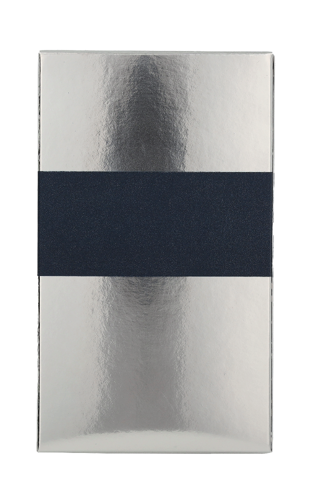 Emanuel Ungaro L'Homme Edt Spray 100 ml