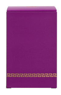 Versace Dylan Purple Pour Femme Eau de parfum Spray