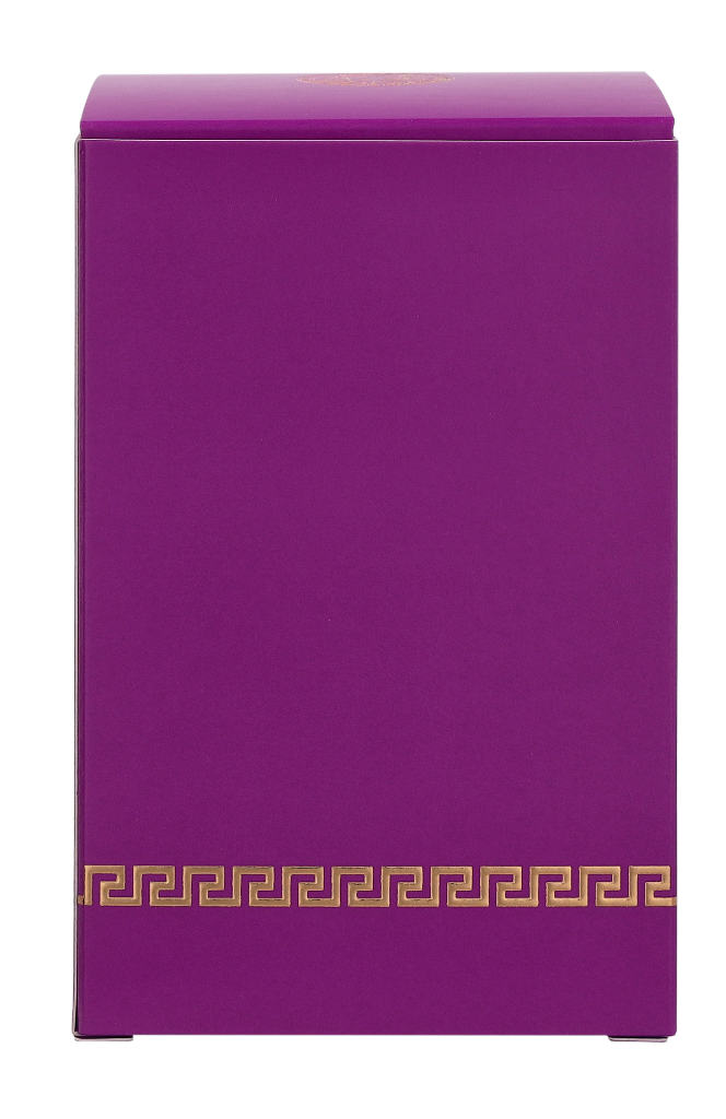 Versace Dylan Purple Pour Femme Eau de parfum Spray