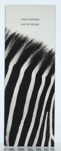 Kenzo Jungle Man Edt Spray 75 ml