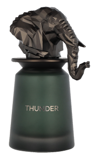 French Avenue Thunder Edp Spray 100 ml