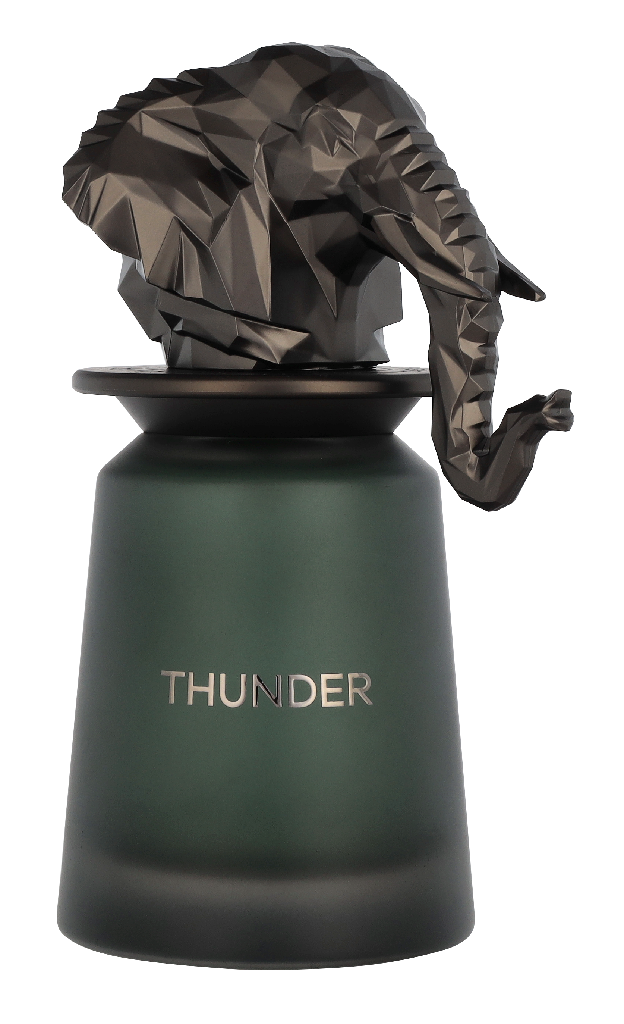 French Avenue Thunder Edp Spray 100 ml
