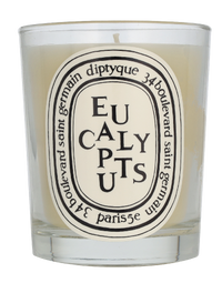 Diptyque Eucalyptus Scented Candle 190 g