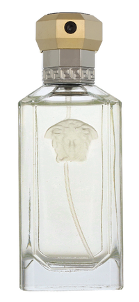 Versace The Dreamer Eau de toilette Spray