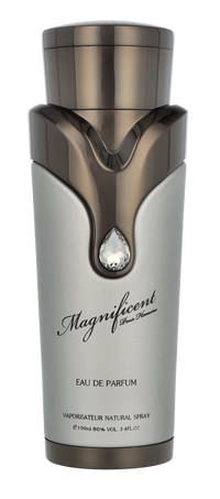 Armaf Magnificent Eau de parfum Spray 100ml