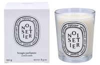 Diptyque Noisetier Scented Candle 190 g