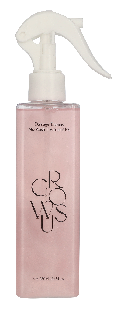 Growus Damage Therapy No-Wash Treatment EX 250 ml