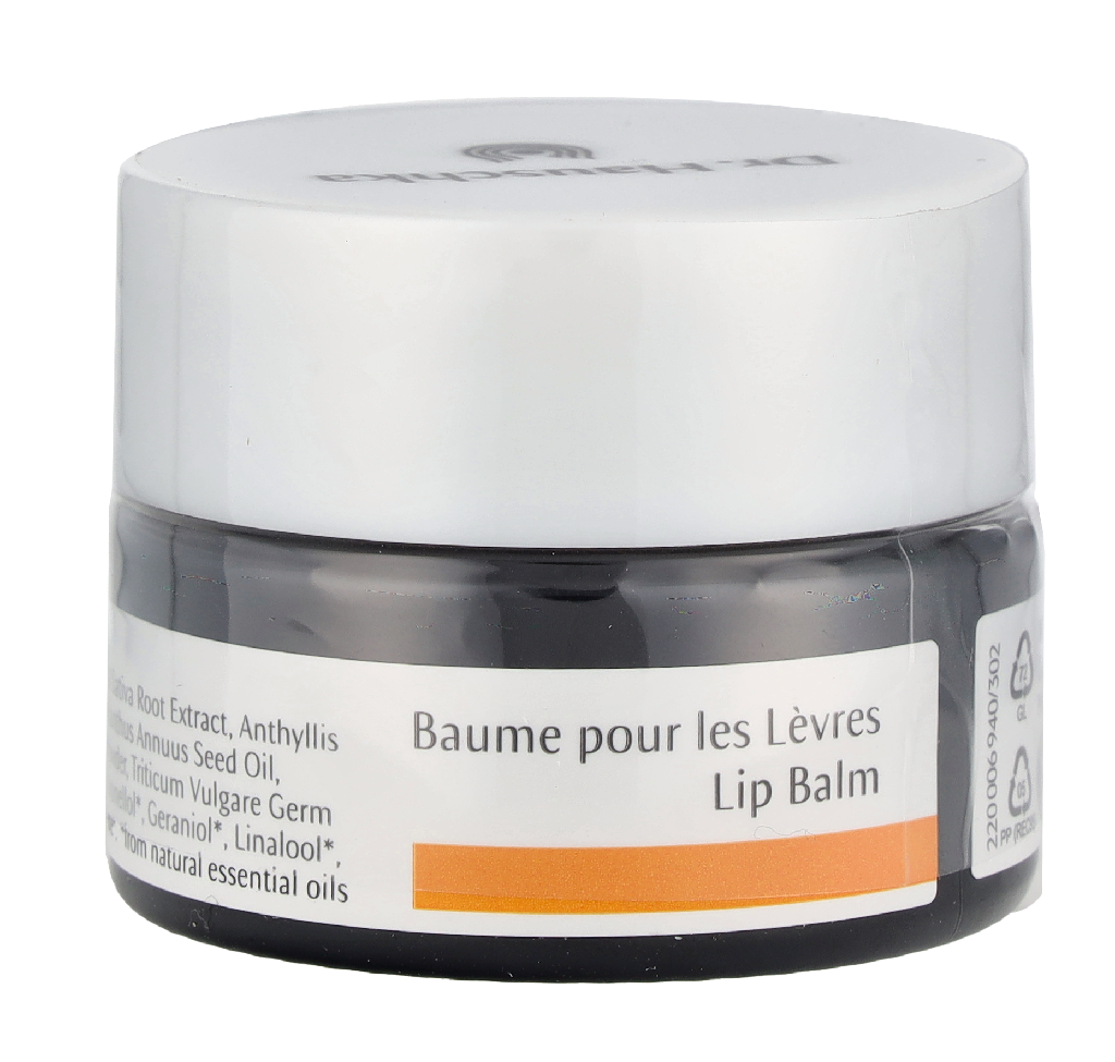 Dr. Hauschka Lip Balm 4.50 ml