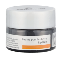 Dr. Hauschka Lip Balm 4.50 ml