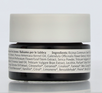 Dr. Hauschka Lip Balm 4.50 ml