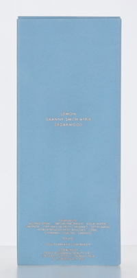 Dolce & Gabbana Light Blue Pour Femme Edt Spray Restage 200 ml